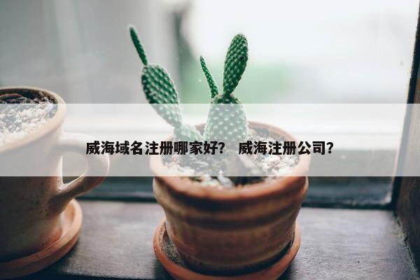 威海域名注册哪家好？ 威海注册公司？