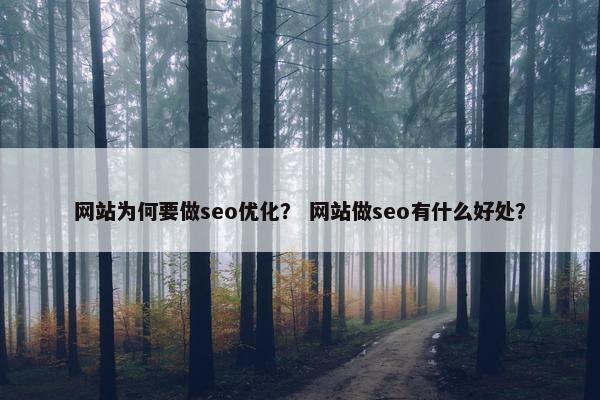 网站为何要做seo优化？ 网站做seo有什么好处？