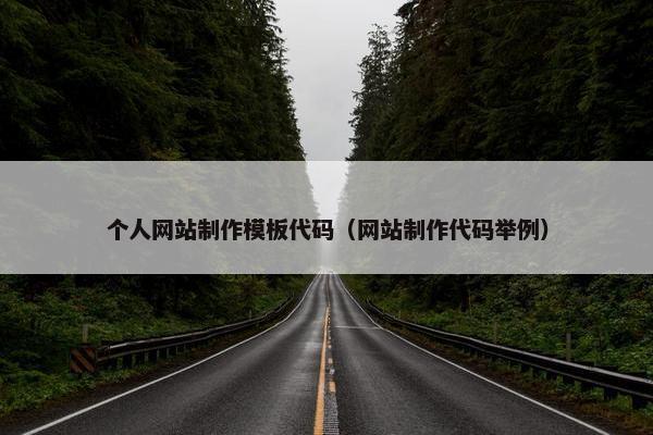 个人网站制作模板代码（网站制作代码举例）