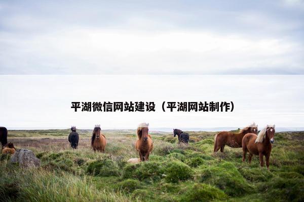 平湖微信网站建设（平湖网站制作）