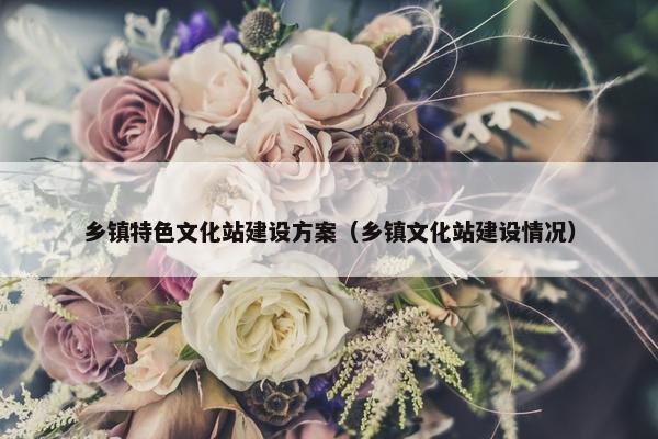 乡镇特色文化站建设方案（乡镇文化站建设情况）
