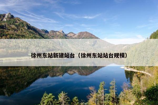 徐州东站新建站台（徐州东站站台规模）