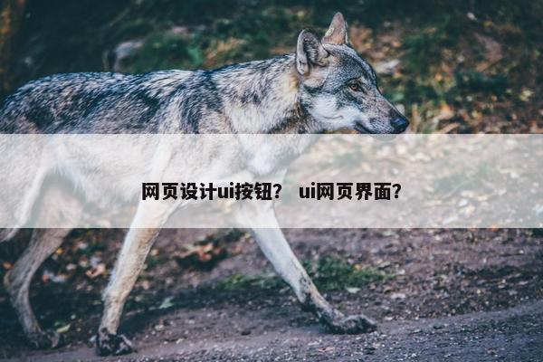 网页设计ui按钮？ ui网页界面？