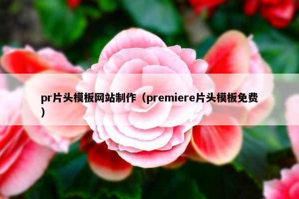 pr片头模板网站制作（premiere片头模板免费）