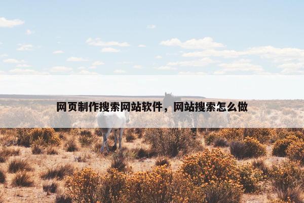网页制作搜索网站软件，网站搜索怎么做