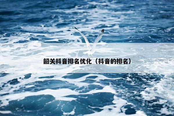 韶关抖音排名优化（抖音的排名）