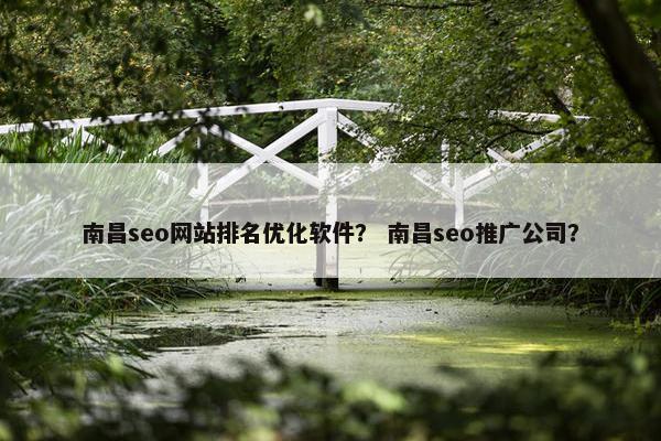 南昌seo网站排名优化软件？ 南昌seo推广公司？