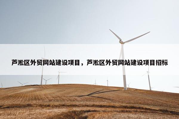 芦淞区外贸网站建设项目，芦淞区外贸网站建设项目招标