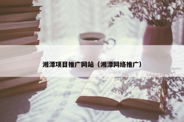 湘潭项目推广网站（湘潭网络推广）