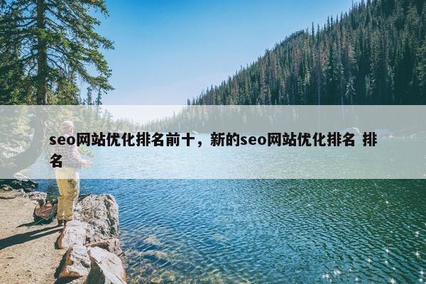 seo网站优化排名前十，新的seo网站优化排名 排名