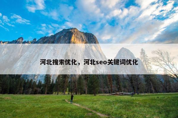 河北搜索优化，河北seo关键词优化
