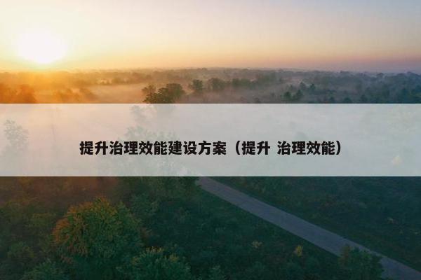 提升治理效能建设方案（提升 治理效能）