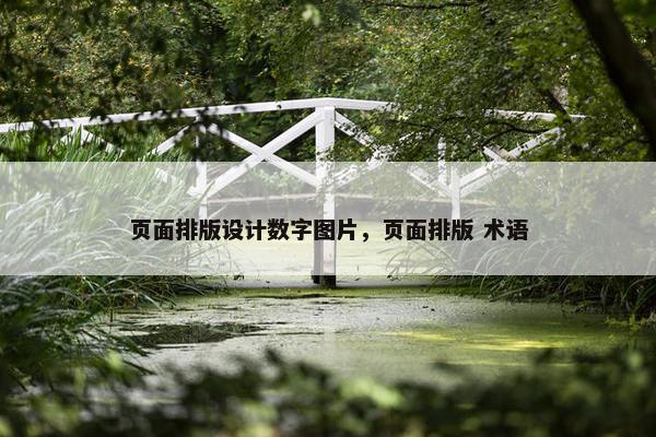 页面排版设计数字图片，页面排版 术语