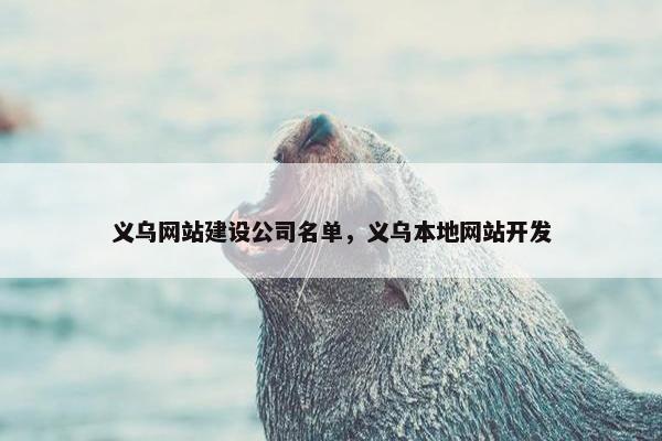 义乌网站建设公司名单，义乌本地网站开发