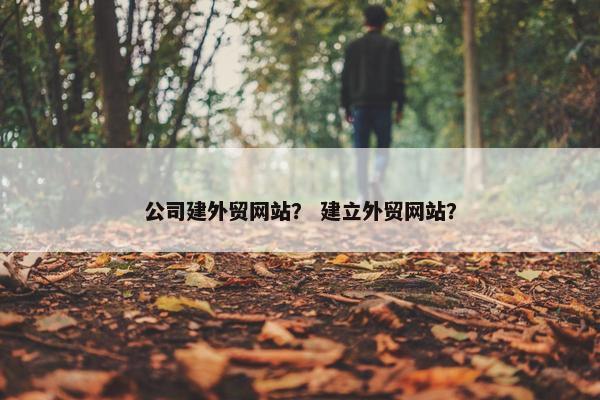 公司建外贸网站？ 建立外贸网站？