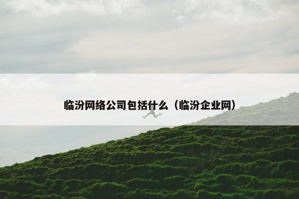 临汾网络公司包括什么（临汾企业网）
