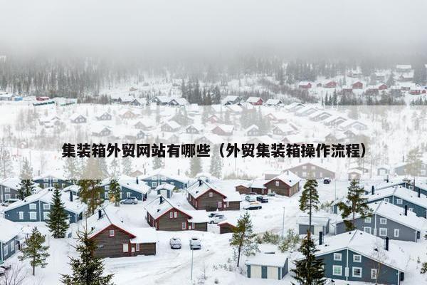 集装箱外贸网站有哪些（外贸集装箱操作流程）