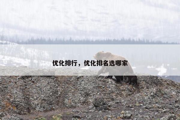 优化排行，优化排名选哪家
