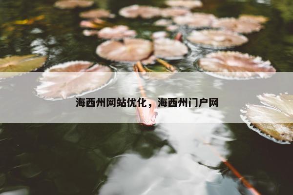 海西州网站优化，海西州门户网