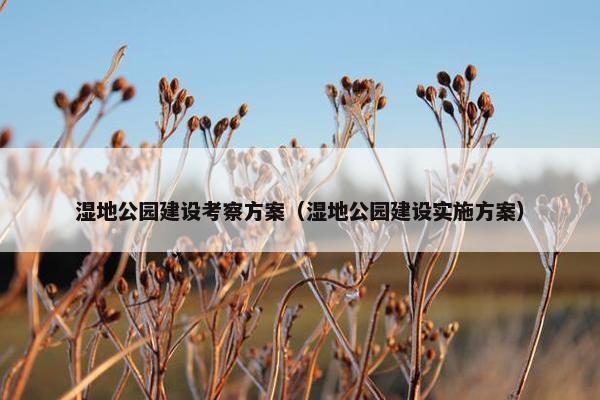湿地公园建设考察方案（湿地公园建设实施方案）