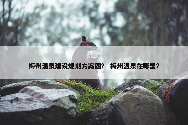 梅州温泉建设规划方案图？ 梅州温泉在哪里？