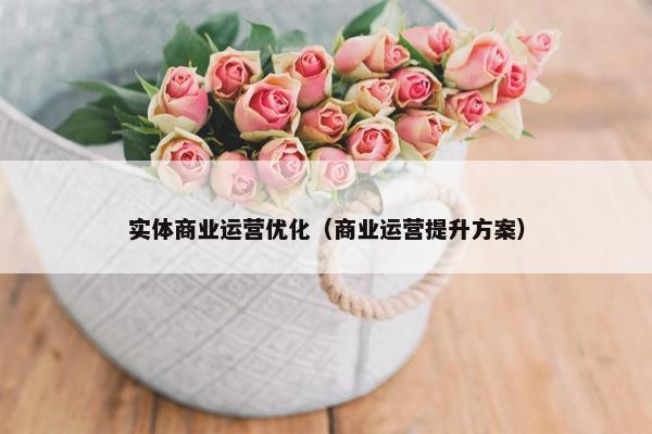 实体商业运营优化（商业运营提升方案）