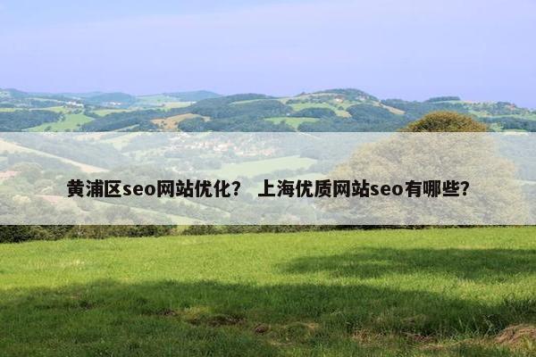 黄浦区seo网站优化？ 上海优质网站seo有哪些？