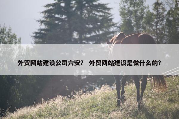 外贸网站建设公司六安？ 外贸网站建设是做什么的？