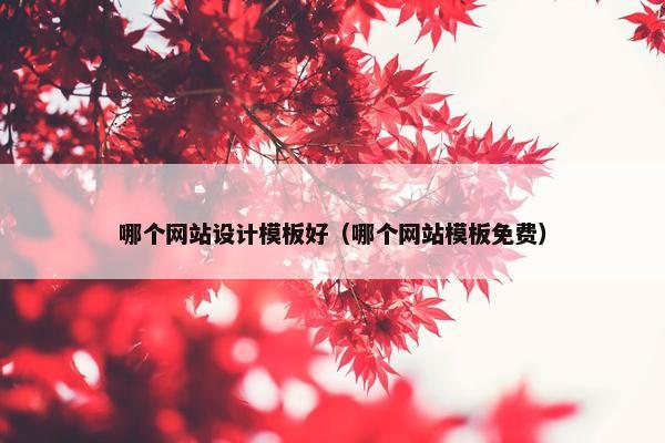 哪个网站设计模板好（哪个网站模板免费）