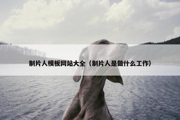 制片人模板网站大全（制片人是做什么工作）