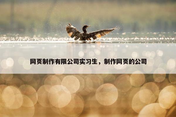 网页制作有限公司实习生，制作网页的公司