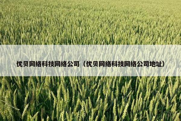 优贝网络科技网络公司（优贝网络科技网络公司地址）