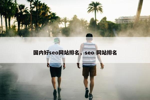 国内好seo网站排名，seo 网站排名