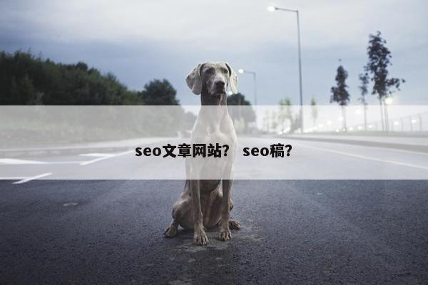 seo文章网站？ seo稿？