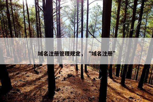 域名注册管理规定，“域名注册”